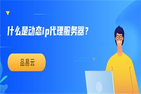 動態IP代理服務器與票務代理服務 概念、應用與差異解析